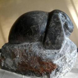 Lapin bélier